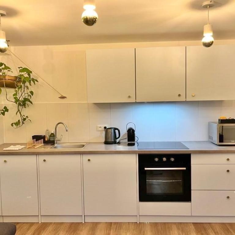 Appartement 2P Strasbourg centre - Appartamento con 1 Camera da Letto - 2