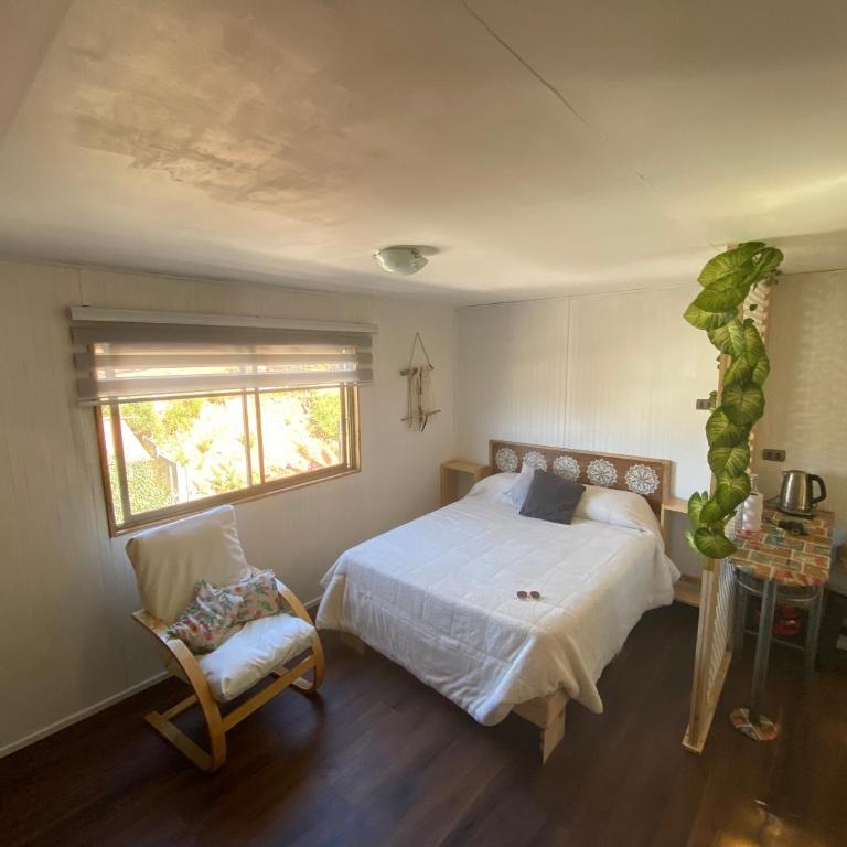 Cactu - Double Room - 1