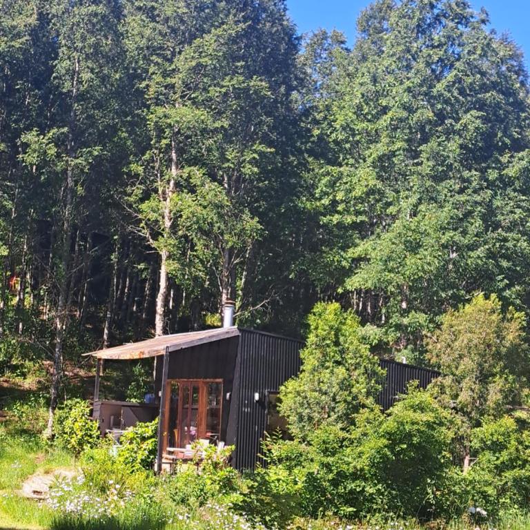 Cabañas Flamingo - Two-Bedroom House - 5