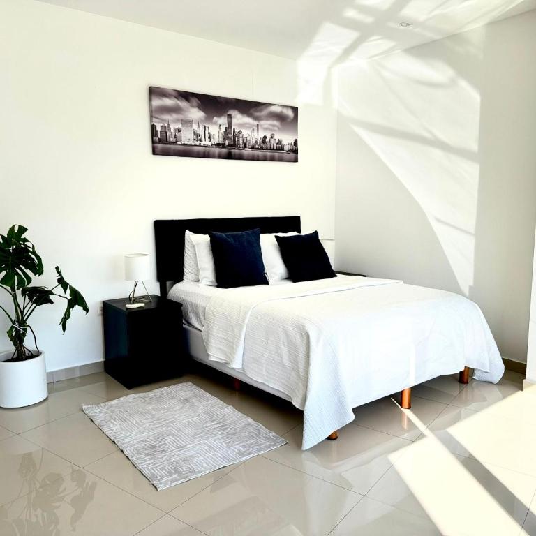 Loft con vista a las Montañas a 5 minutos de San Pedro - One-Bedroom Apartment - 10