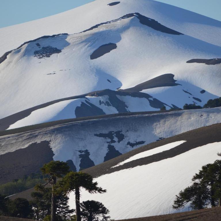 Refugios Australes en Corralco - Three-Bedroom Chalet - 46