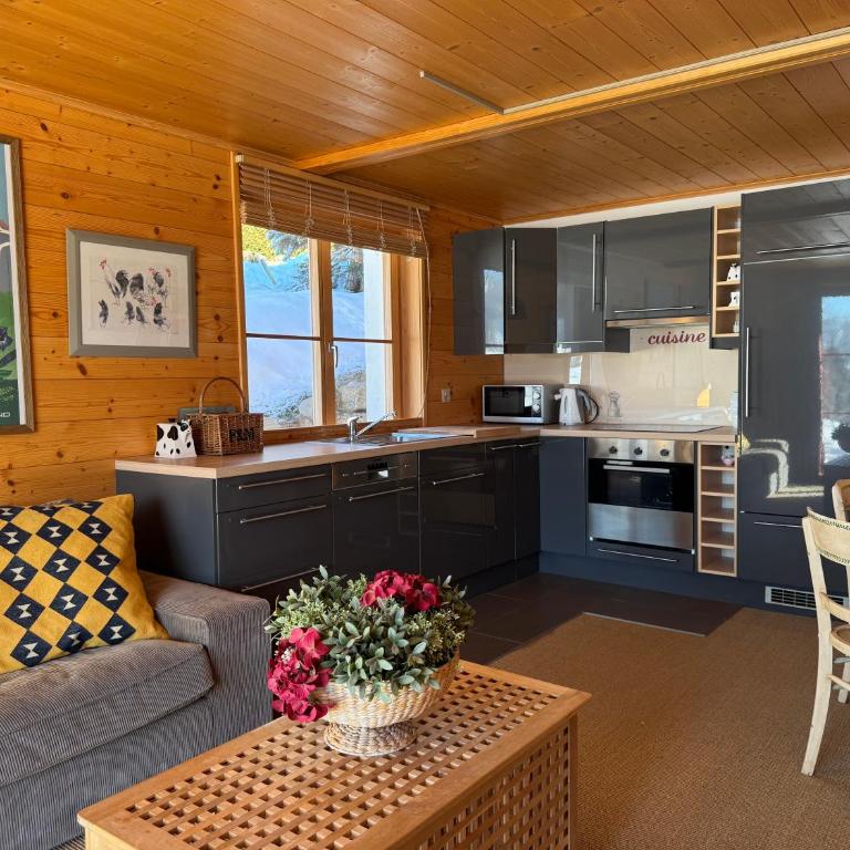 Luxury apartment in Les Diablerets - Apartment mit 3 Schlafzimmern und Bergblick - 7