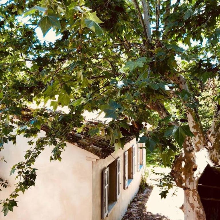 Le Poulailler, private house with garden and parking - Two-Bedroom House - 25