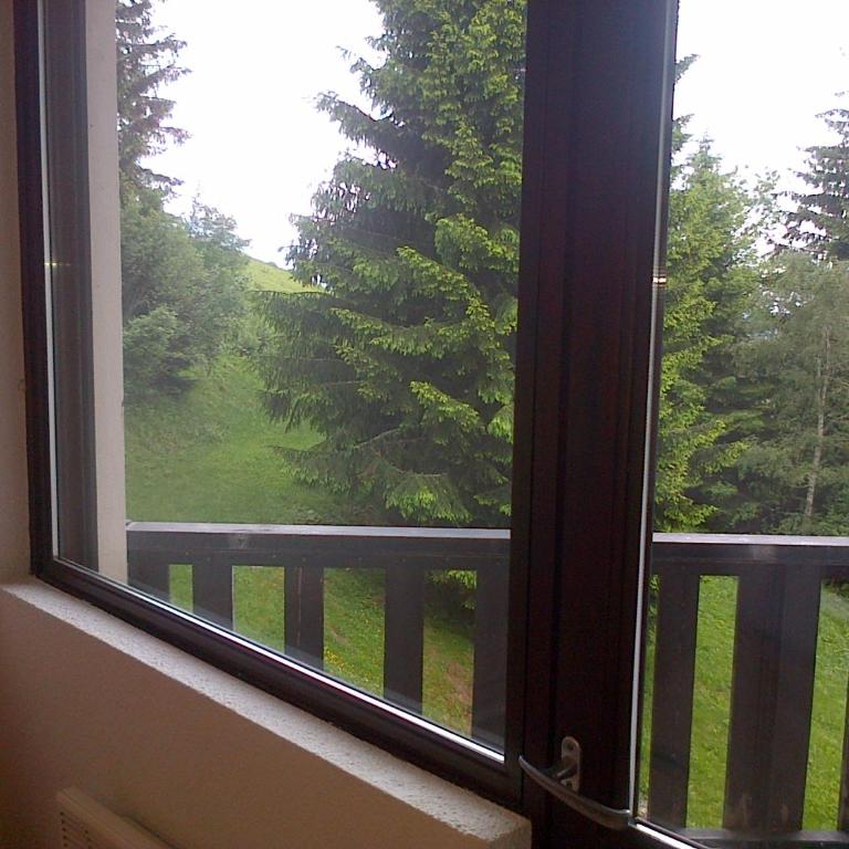 Plein Ciel sur les pistes 40m2 - 2 chambres - Apartment mit 2 Schlafzimmern - 25