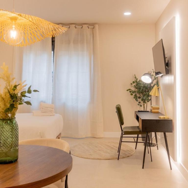 Luxurious Studio Madrid Centro TEMPORAL PDD2915 - One-Bedroom Apartment - 1