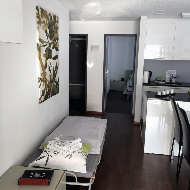Haus Fleckstein Zermatt Wohnung Karibu - Apartment - Erdgeschoss - 52