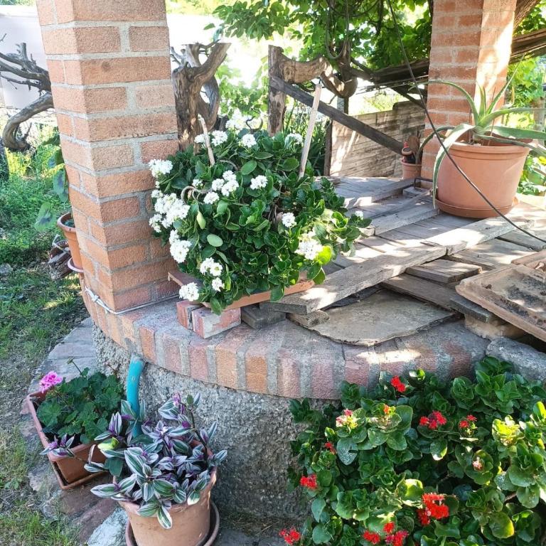 Chianti APT Garden free parking to San Gimignano - Appartamento con 1 Camera da Letto - 19