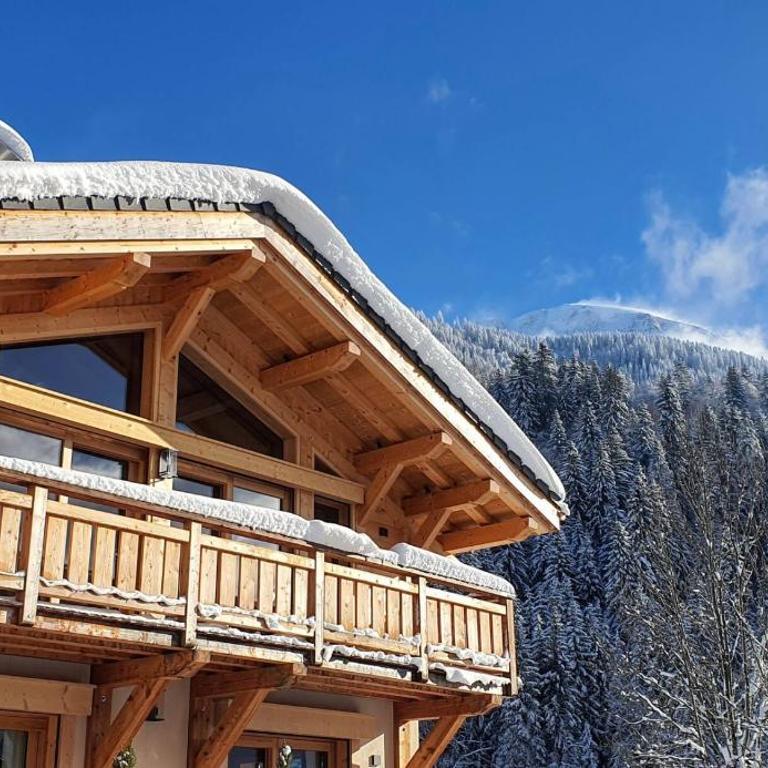 Chalet des Ours - 2 appartements 4 étoiles premium - 5 ou 6 personnes - Apartment mit 2 Schlafzimmern - 2