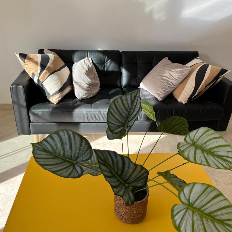 Apartamento-Casa buena vista - Two-Bedroom Apartment with Terrace - 3