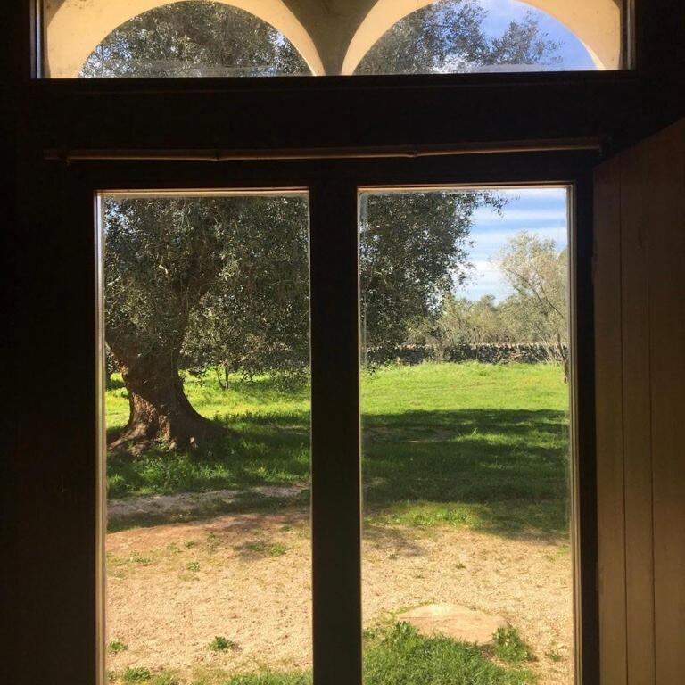 Casina del sole Relax and Private Pool - Three-Bedroom Home - 6