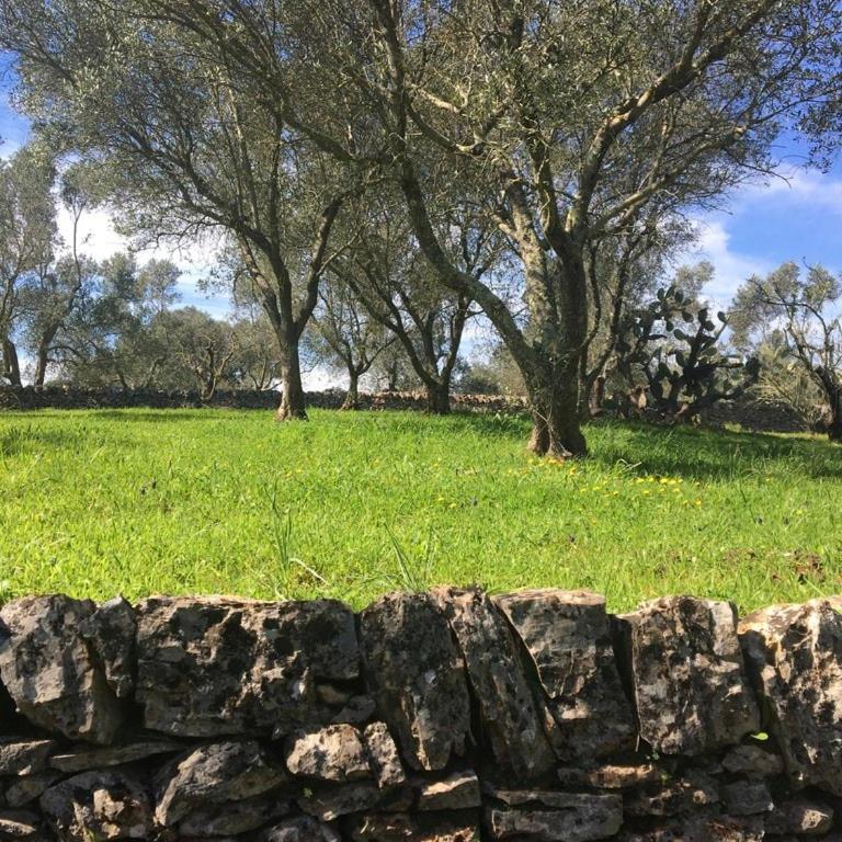 Casina del sole Relax and Private Pool - Three-Bedroom Home - 24