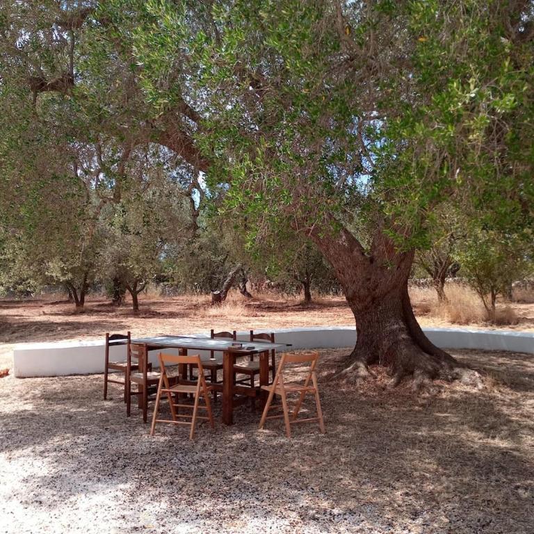 Casina del sole Relax and Private Pool - Three-Bedroom Home - 23