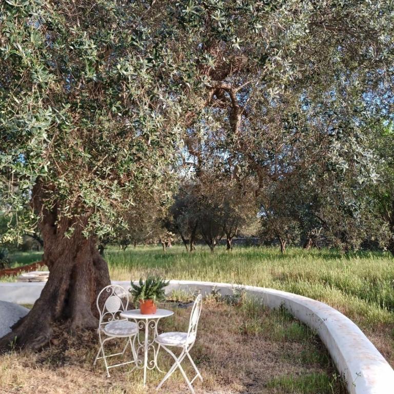 Casina del sole Relax and Private Pool - Three-Bedroom Home - 35