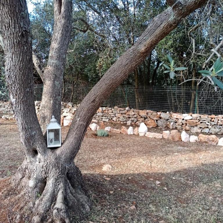 Casina del sole Relax and Private Pool - Three-Bedroom Home - 42