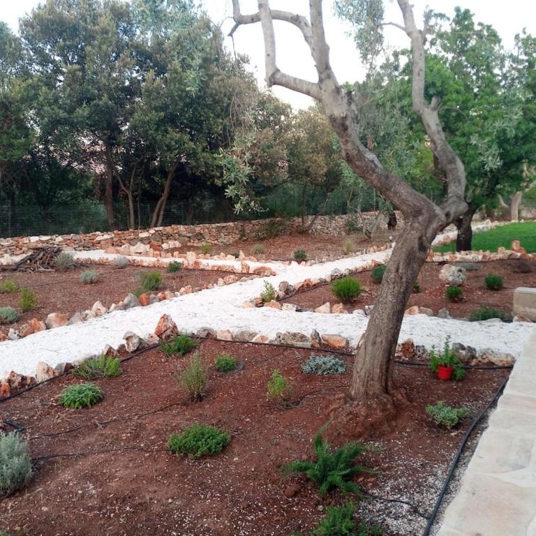 Casina del sole Relax and Private Pool - Three-Bedroom Home - 8