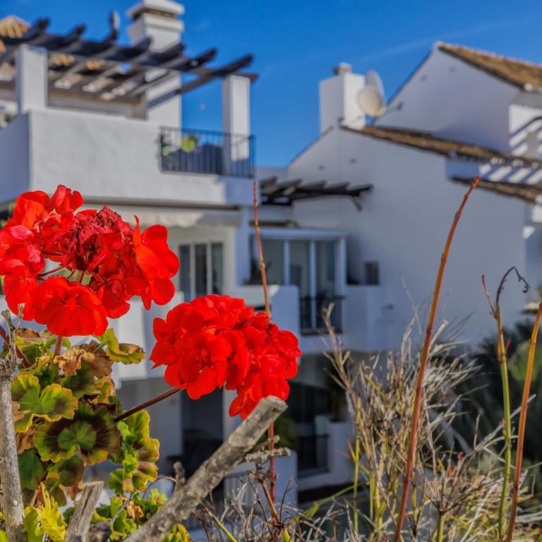 Luxury Duplex Sea Views La Cala Beach - Apartamento con vistas al mar - 41
