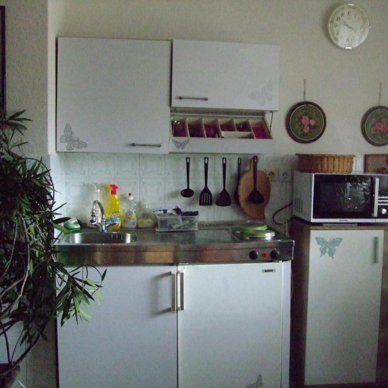 Pension Krüger - Studio-Apartment - 3