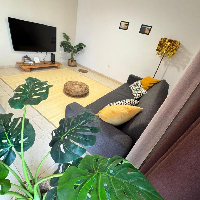 Rincon de Paz - Apartamento de 2 dormitorios - 3