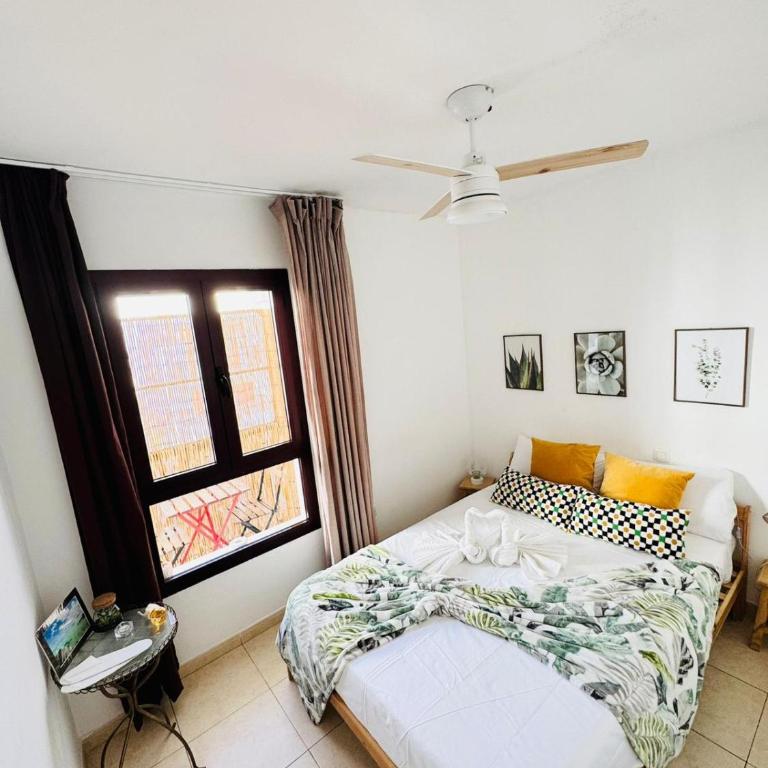 Rincon de Paz - Apartamento de 2 dormitorios - 34