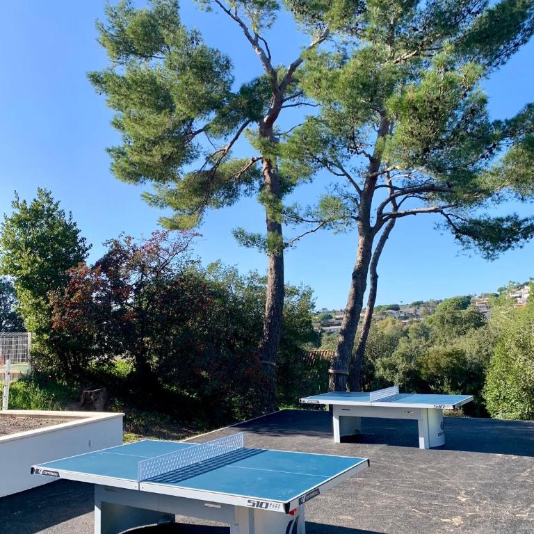 2 pièces, moderne et lumineux avec piscine en résidence privée - Appartement 1 Chambre - Vue sur Jardin - 21