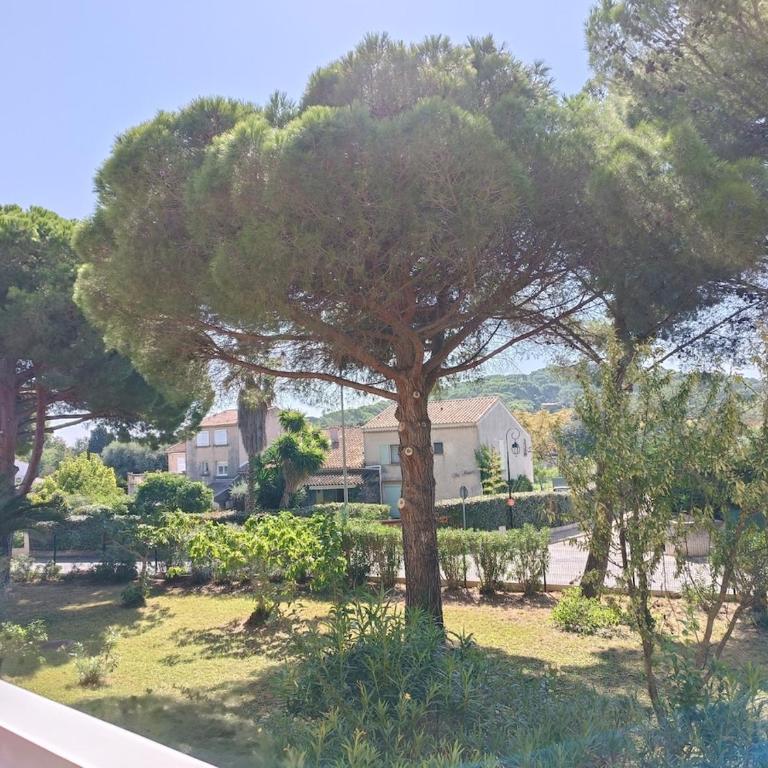 Studio La Favière Bormes les Mimosas - Apartment mit 1 Schlafzimmer - 12