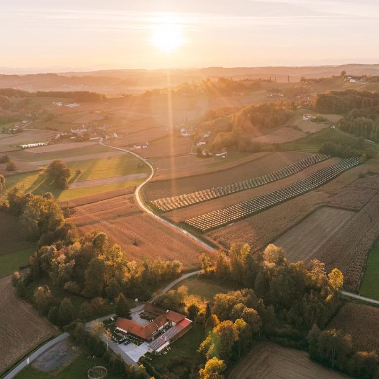 Monschein Weingut Straden - Deluxe Doppelzimmer - 12