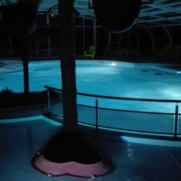 ZEcamping 4 étoiles bain à remous piscine couverte animaux acceptés - Mobilheim - 4