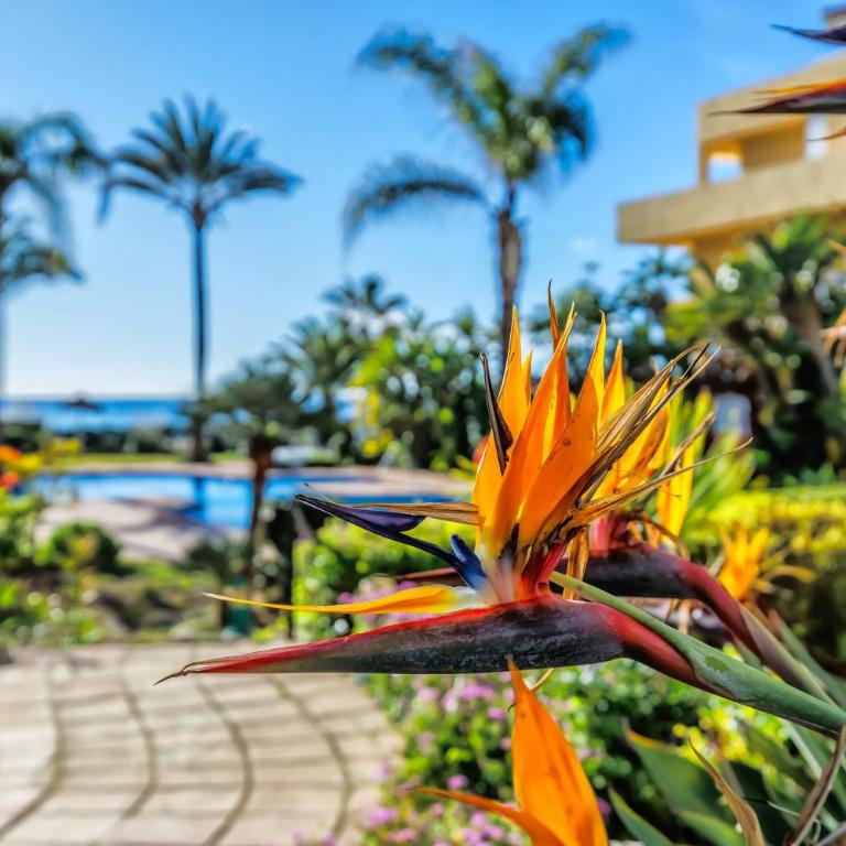 Luxury Duplex Sea Views La Cala Beach - Apartamento con vistas al mar - 98