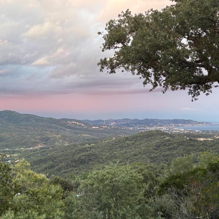 Villa indépendante dans un domaine privé 25 minutes de Cannes - Casa con 3 Camere da Letto - 19