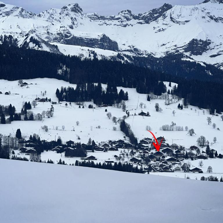 Chalet à Megève-Vauvray - Grands Appartements , vue Mont Blanc - Appartement - 4