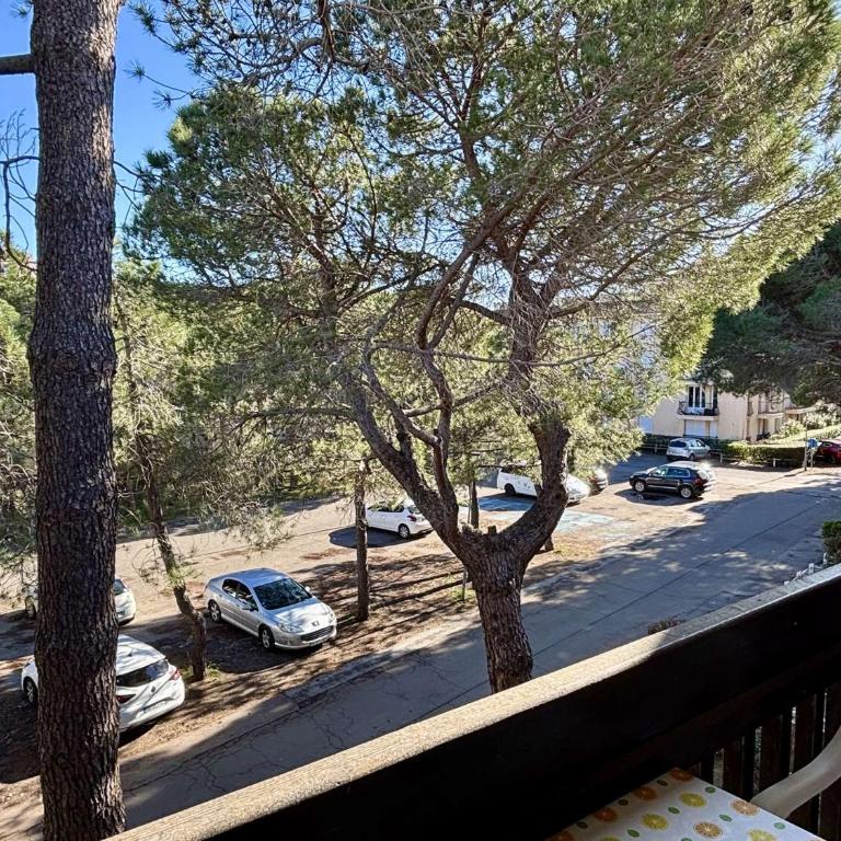 Appartement 2 pièces à 100m de la plage 4 couchages - AR420-047 - Appartement - 7