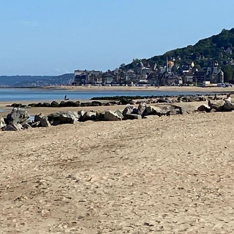 Appartement élégant au cœur de Cabourg - Apartment mit 1 Schlafzimmer - 20