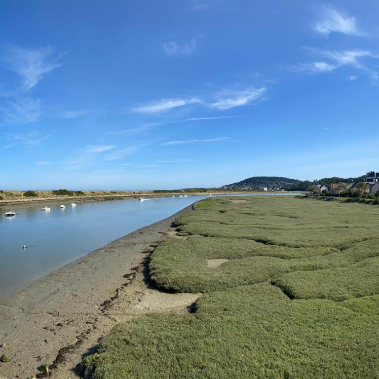 Appartement élégant au cœur de Cabourg - Apartment mit 1 Schlafzimmer - 18