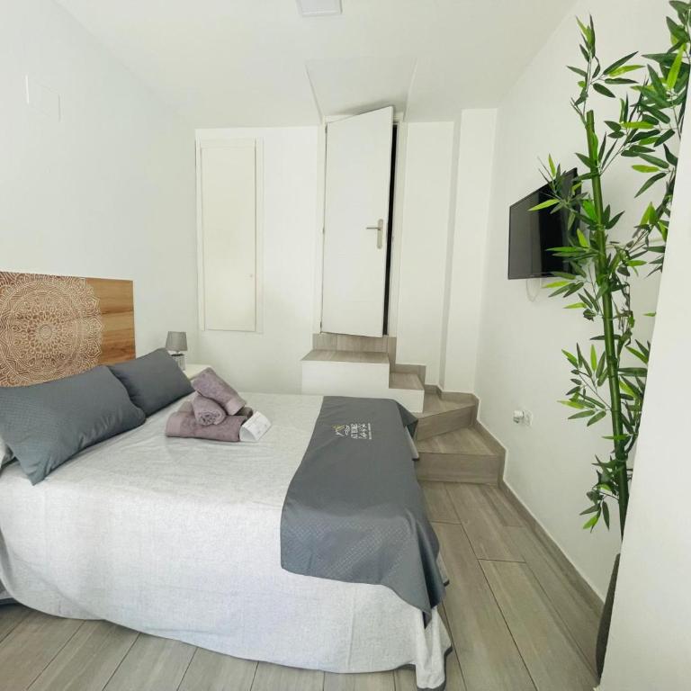 Estudio Jimena Burriana en el centro de Nerja - Apartamento de 1 dormitorio - 20