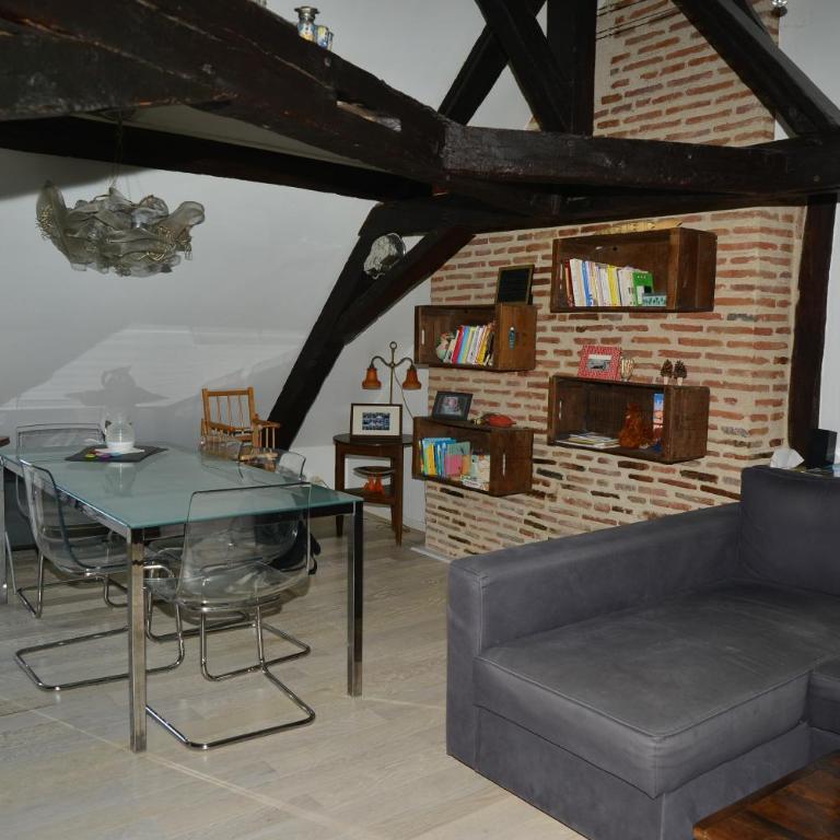 Tours hypercentre - Vieux Tours - Apartment - 1
