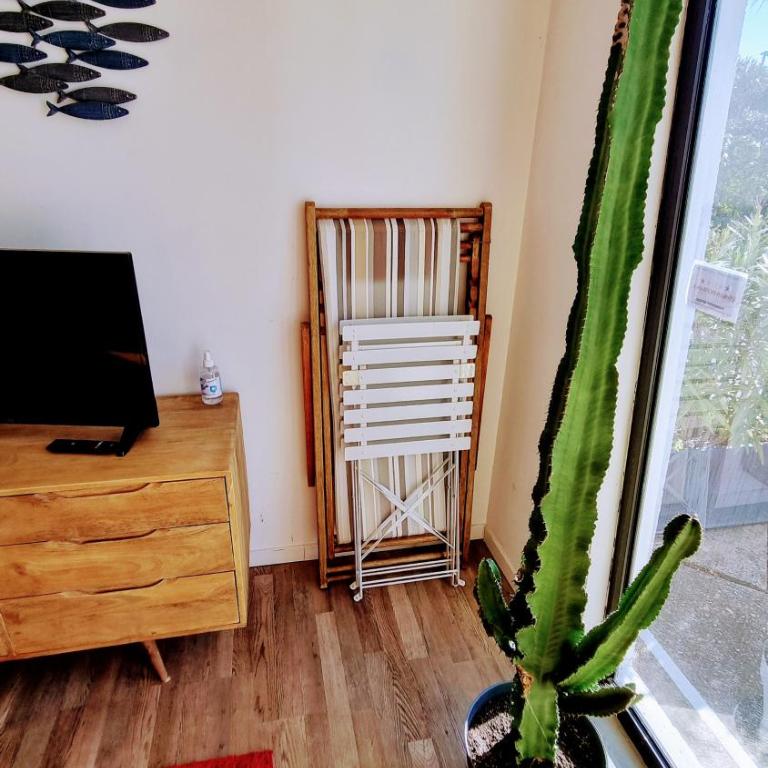 Grand T2 Ensoleillé 47m2 3 Etoiles - Apartamento de 1 dormitorio - 8