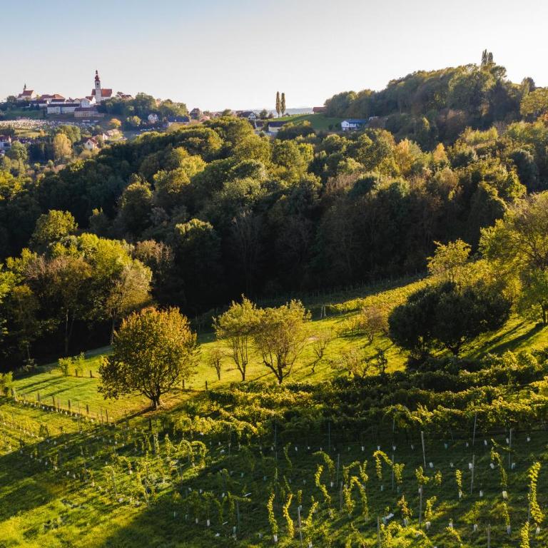 Monschein Weingut Straden - Doppelzimmer mit Gartenblick - 17