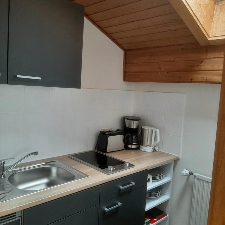 Haus Sorgschrofen - Studio mit Bergblick - 6