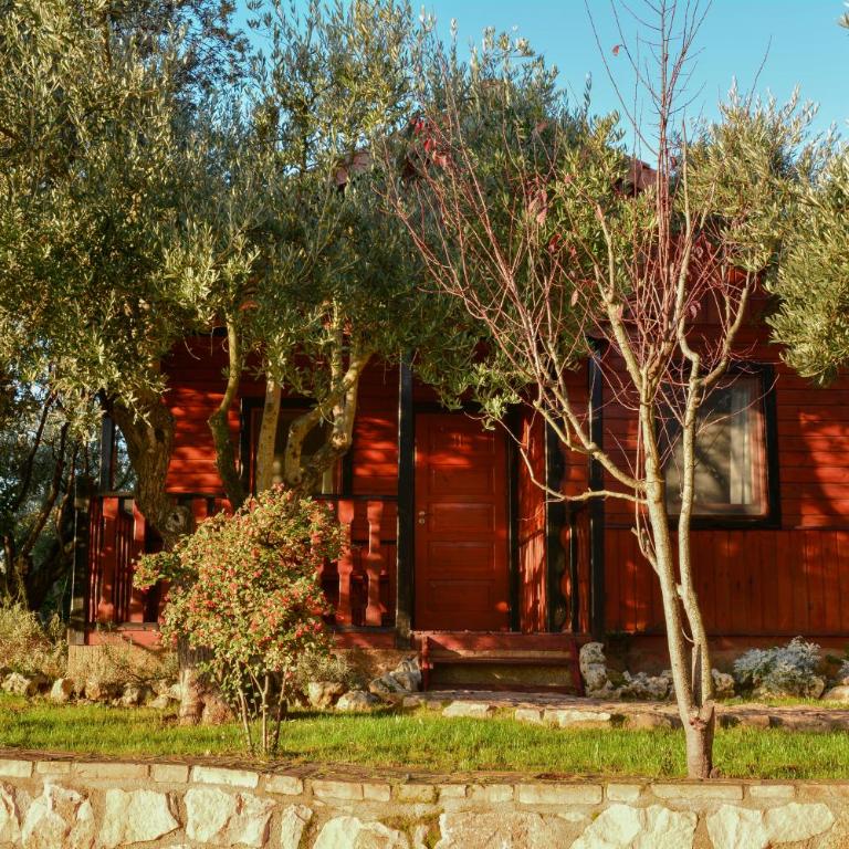 Camping Alquézar - Bungalow Familiar - 5