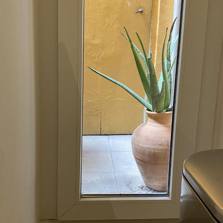 San Lorenzo for foodies - Appartamento con 2 Camere da Letto e Vista Città - 22