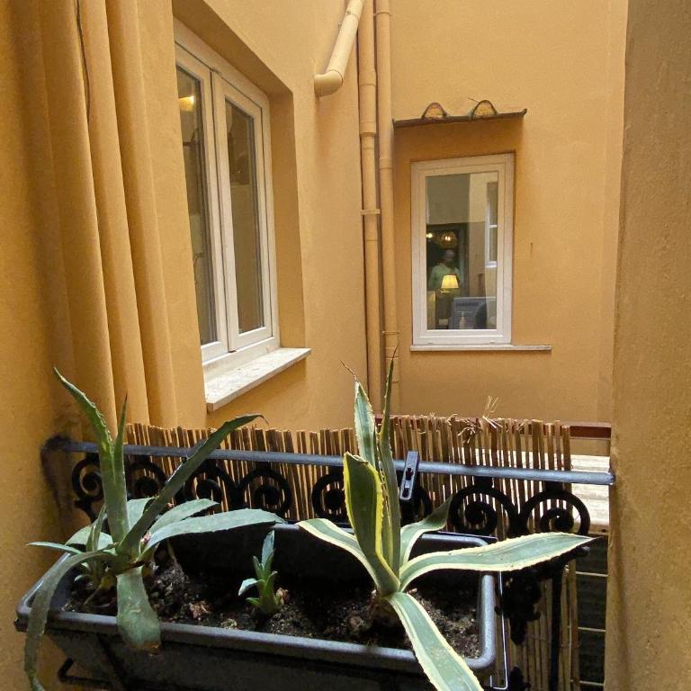 San Lorenzo for foodies - Appartamento con 2 Camere da Letto e Vista Città - 30