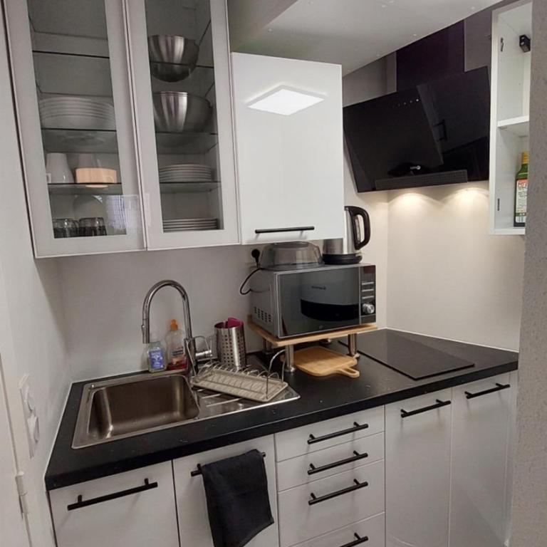 Studio F1 avec jardin, proche du Palais des festivals et des plages - Appartement 1 Chambre - 8