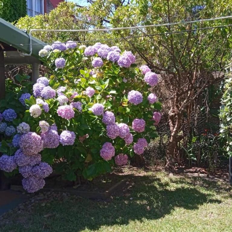 La Pedrera Cardenal - Casa de 2 dormitorios - 6