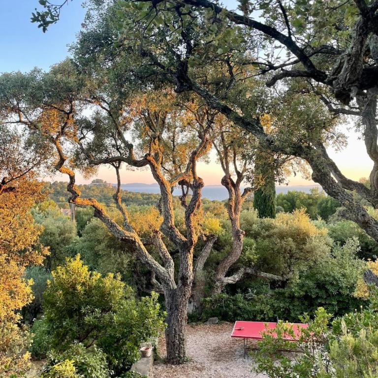 Villa Provençale Vue Mer - Villa - 7