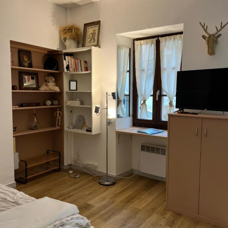 Studio indépdt centre ville 300m du lac d’Annecy - Appartement 1 Chambre - 5
