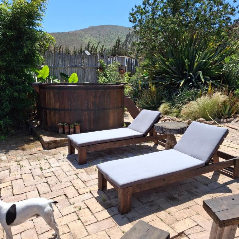 Cabaña colibrí - Casa Campo Elqui - Apartamento de 2 dormitorios - 61