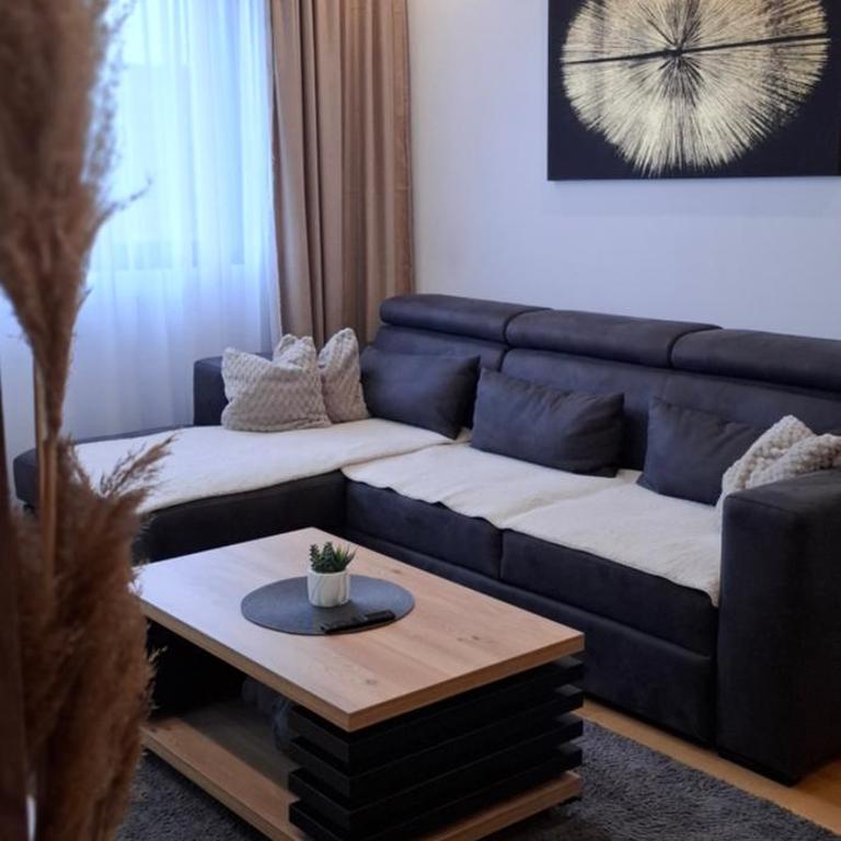 Relax Residence Zlatibor Free Parking Garage - Apartman sa 1 Spavaćom Sobom - 2