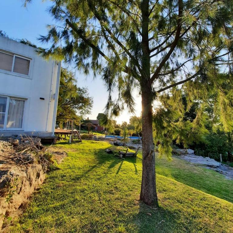 Vistaserranacasadecampo - Casa con 1 dormitorio - 4