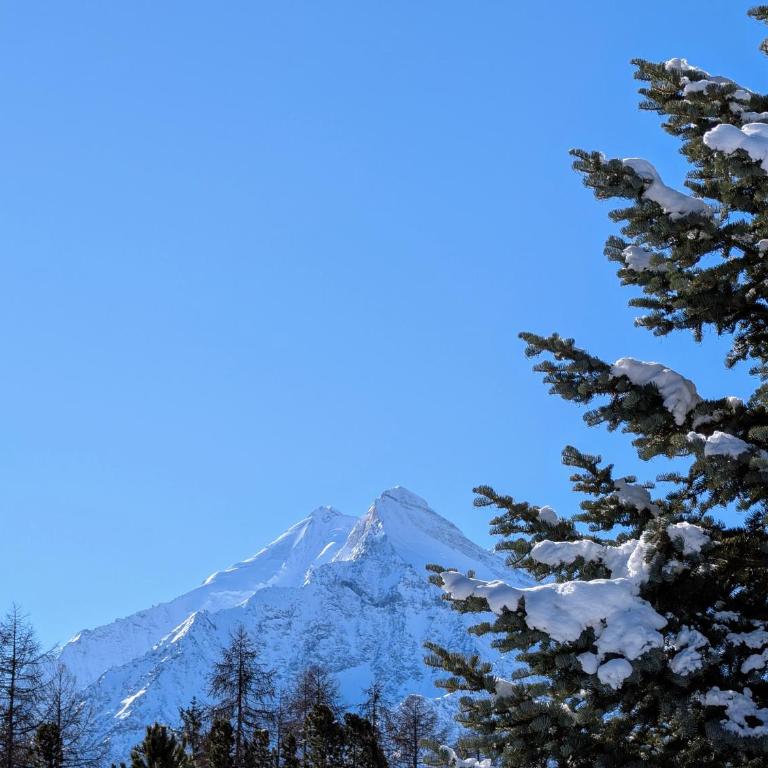 Zur Alten Post - Old Post Office - Appartamento con 2 Camere da Letto e con Vista Montagna - 50