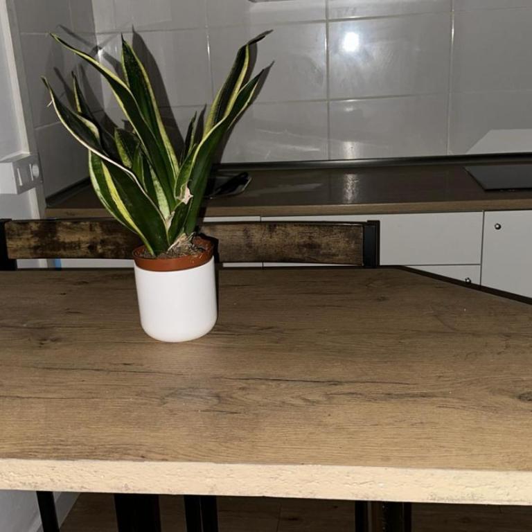 Urban stay loft La posada - Apartamento de 1 dormitorio - 7